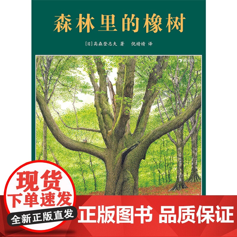 森林里的橡树高清大图