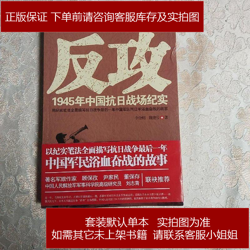 反攻1945年中国抗日战场纪实