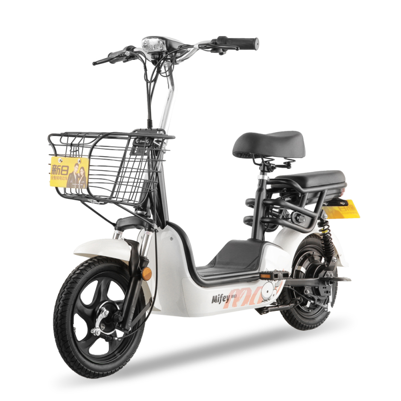 48伏新国标锂电电动车视频