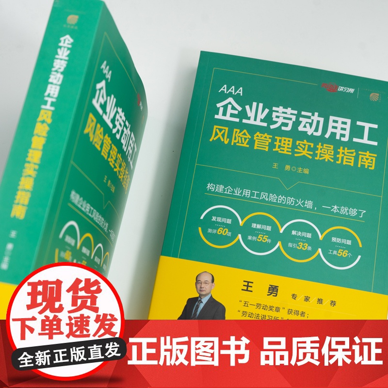 中法图正版 企业劳动用工风险管理实操指南 王勇 用工管理劳动争议案例解析 企业用工风险管理体系劳动法司法实务指南 法律出高清大图
