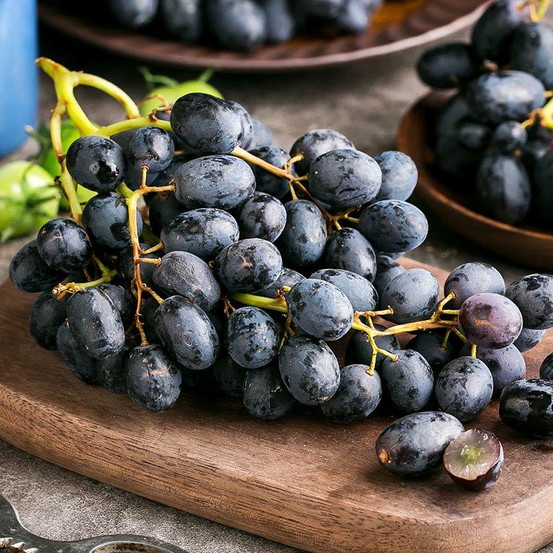 苏宁生鲜智利无籽黑提500g