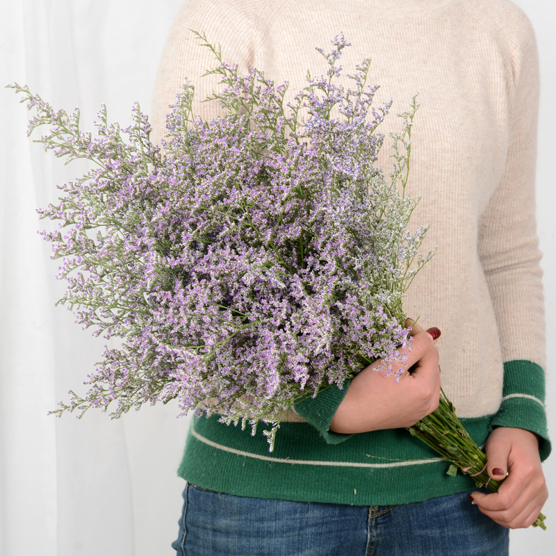 云南大束情人草勿忘我干花束家居摆设小清新真花插花鲜花|情人草大束