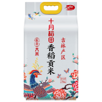 十月稻田大米香米粳米香稻贡米东北大米5kg