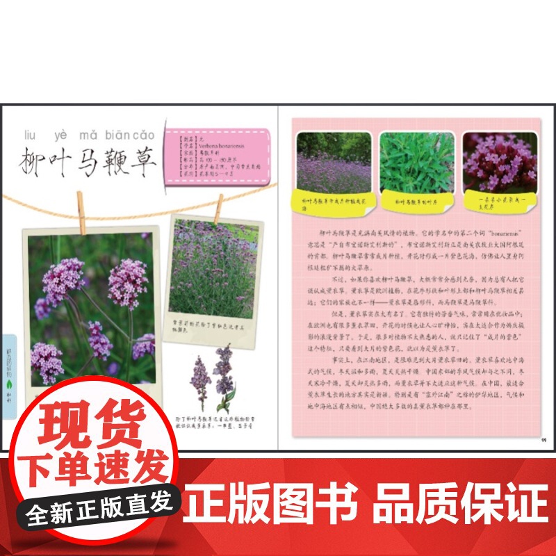 好看的植物 发现植物 科普读物 植物百科 少年儿童出版社高清大图