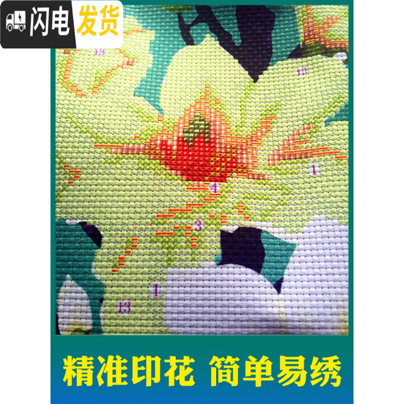 三维工匠2019新款刺绣手工十字绣抱枕套一对情侣枕头自己沙发 图一玉兰花(1个枕套无枕芯)只绣花[46*46]2件更划算高清大图