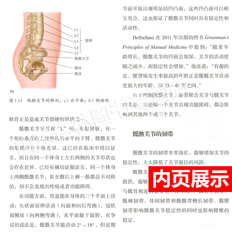 [正版] 骨盆和骶髂关节功能解剖手法操作指南 涵盖评估分析运动 肌肉 能量 技术及替代技 北京科技出版社高清大图