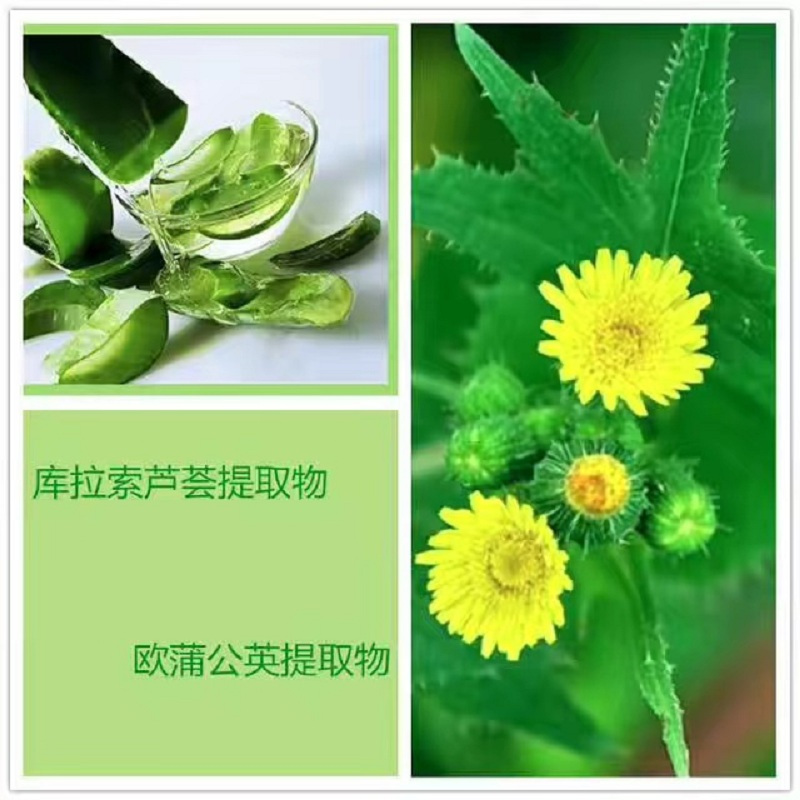 韩束 芦荟胶晒后控油平衡男女面霜保湿霜化妆品精华 芦荟胶180g
