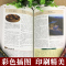 [正版]全2本 中华上下五千年+世界上下五千年全套 历史类书籍小学生 中国通史完整版书 5000年名著书史记全册青少
