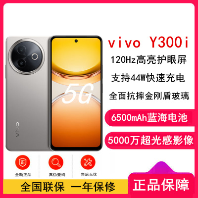 vivo Y300i 钛色12GB+256GB 5G手机