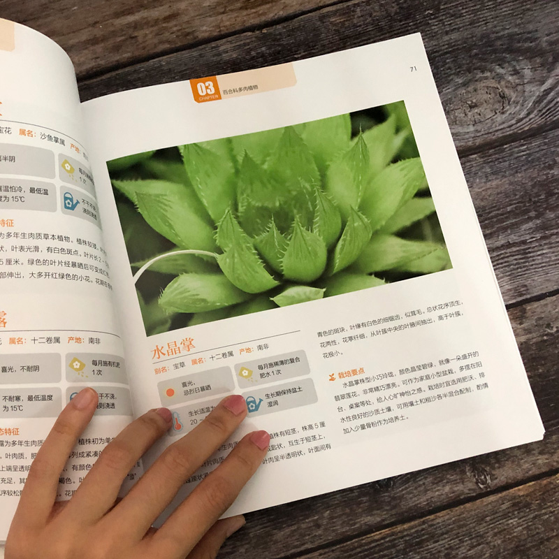 [醉染正版]养花书籍 2册多肉植物这样养 完全图鉴大全 正版家庭阳台院子多肉种植方法技巧 绿植盆景鉴赏养护大全 常见病虫高清大图