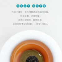 大益普洱茶新会小青柑130g陈皮普洱熟茶柑普茶2020年金柑普茶礼盒