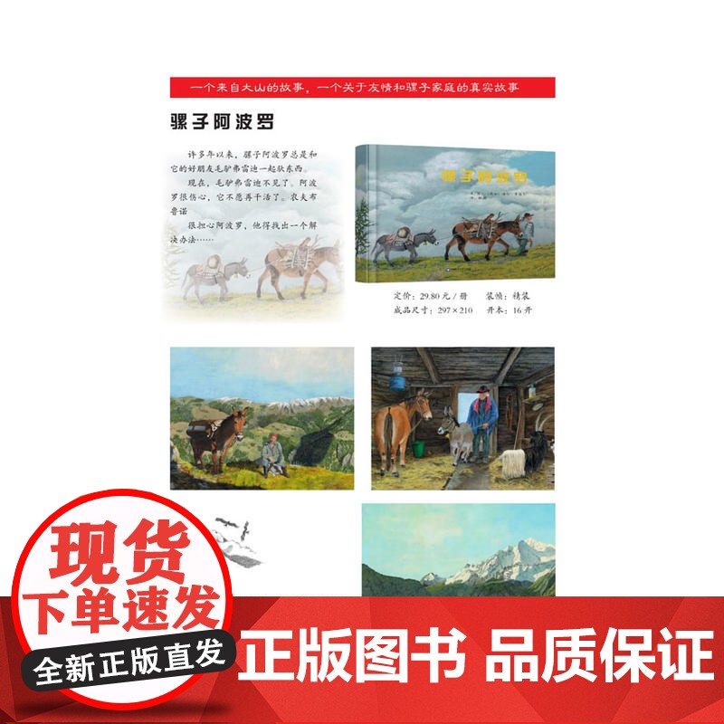 骡子阿波罗高清大图