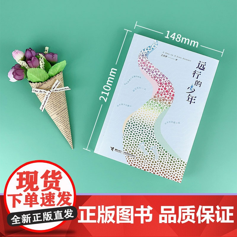 远行的少年 王欣婷 正版书籍 中小学生课外阅读书 9-10-15周岁四五六七八年级寒暑假 阅读店 接力出版社高清大图