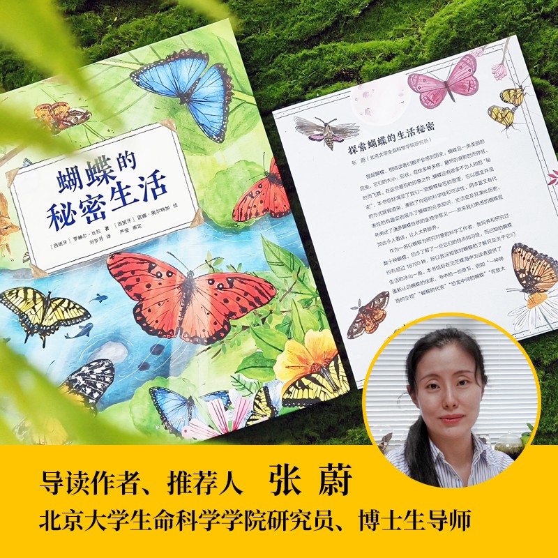 蝴蝶的秘密生活 [正版]蝴蝶的秘密生活 人文科普科学自然知识教育 儿童读物童书绘本 精装全彩大开本 译林出版社高清大图