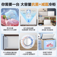 容声(Ronshen)300升家用商用卧式大冷冻柜 冷藏冷冻转换 大容量 一级能效(珍珠白)BD/BC-300ZMSM