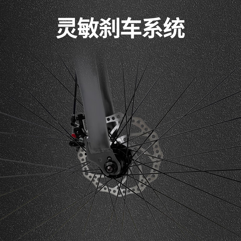 美穗吉家700C 公路车21速高清大图