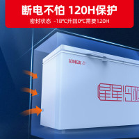 星星(Xingx)BD/BC-628GE冰柜601升冷柜 厨房商用保鲜设备卧式大容量 冷藏冷冻转换单温冰柜一级能耗