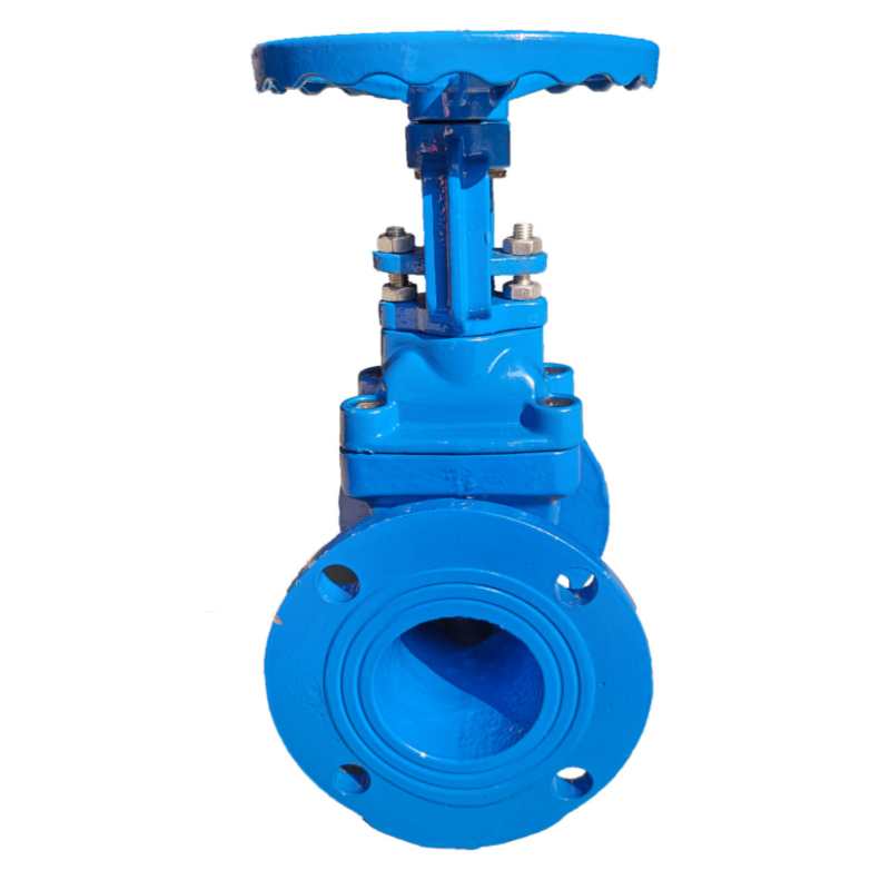 XH弹性座封明杆暗杠闸阀软密封工业明杆闸阀门 DN250/批发高清大图