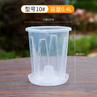 透明青山控根盆兰花水苔蝴蝶兰专用花盆塑料透气镂空大号家用耐用 2个加厚空气柱盆10cm高透明/超透气