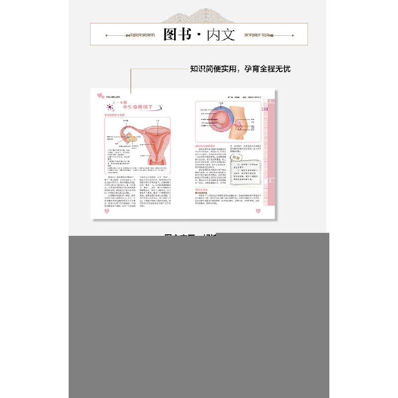 正版新书]怀孕 分娩 育儿百科孟斐 著9787530887158高清大图