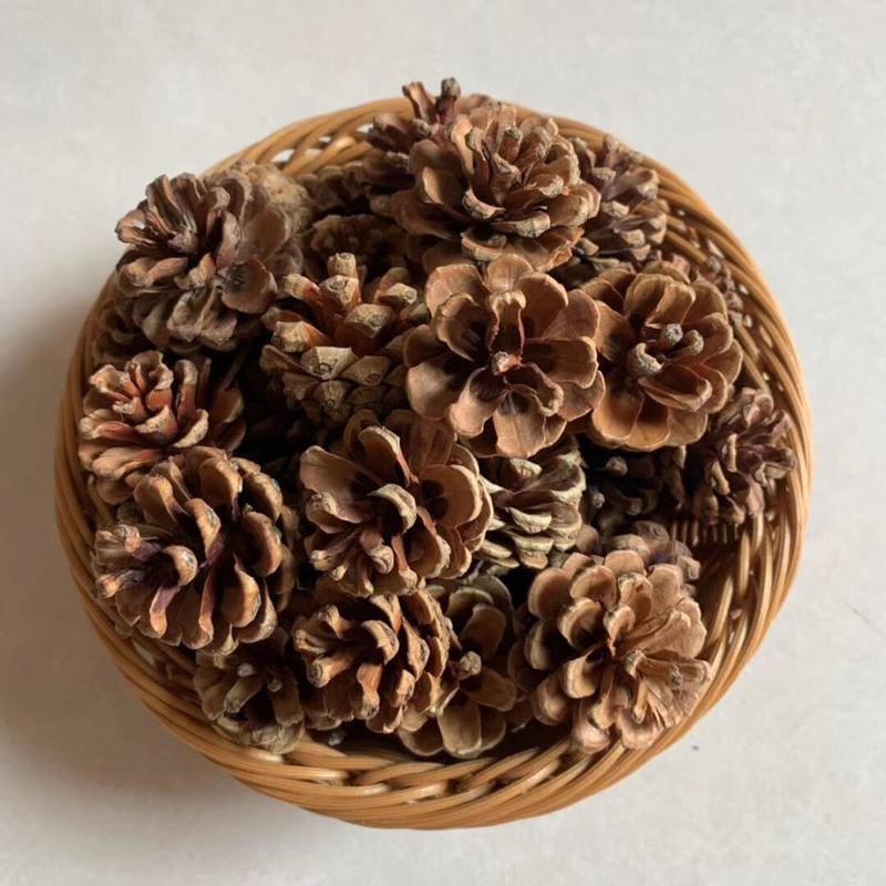 [100个松果]幼儿园装饰圣诞松果画装饰摆件手工diy天然松塔干果 30个