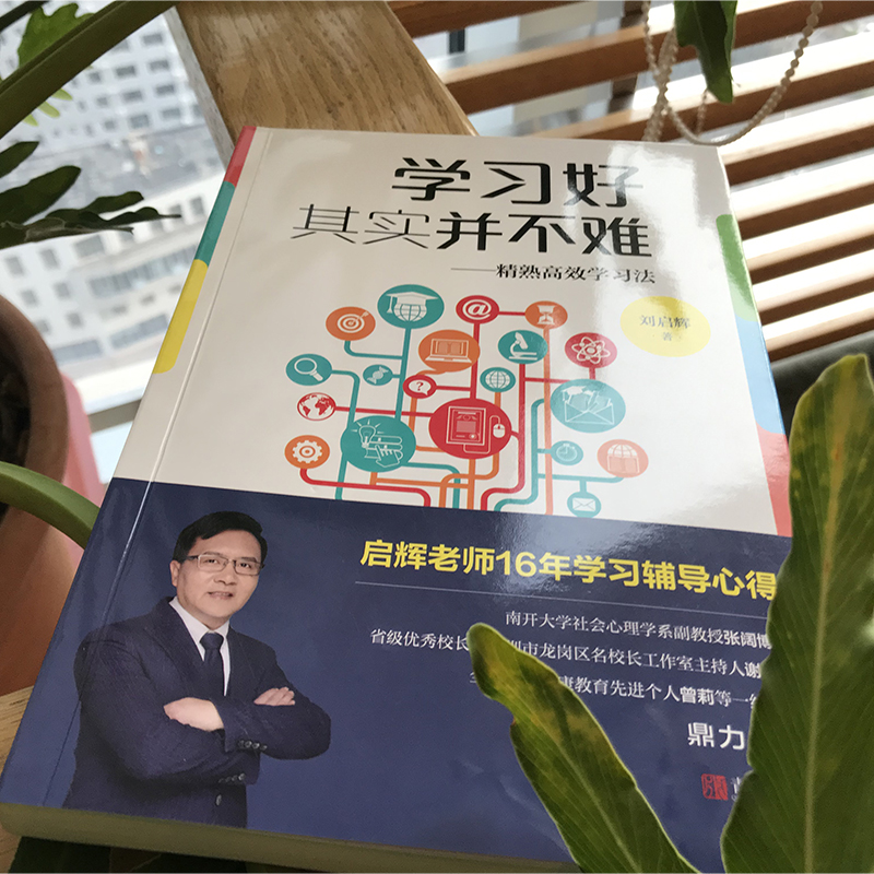 [正版]学习好其实并不难-精熟高效学习法 刘启辉家庭教育家长亲子辅导策略改善技巧 提高成绩培养解题思维 中小学生学渣逆袭高清大图