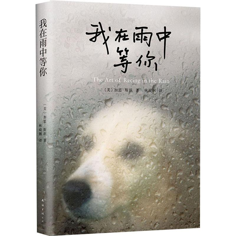醉染图书我在雨中等你9787544272681高清大图