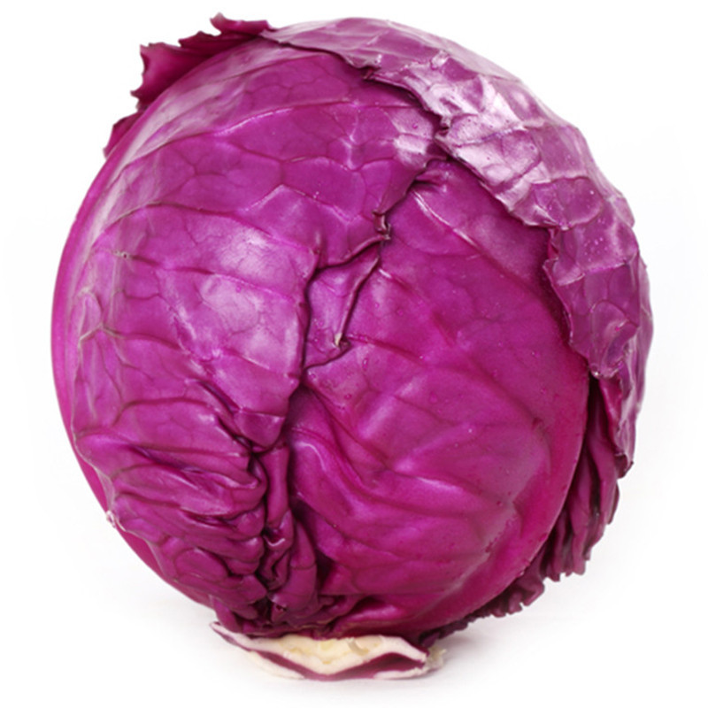 博多客叶菜类紫甘蓝红包菜甘蓝沙拉配菜紫包菜紫色包心菜卷心菜约2 5kg 价格图片品牌报价 苏宁易购鲜快美食品专营店