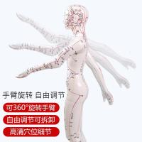 国医研高清晰针灸穴位人体模型全身经络穴位模型中医针灸教学男女