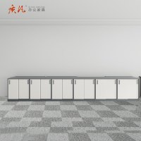 质凡定制文件柜储物柜 550*600*850mm