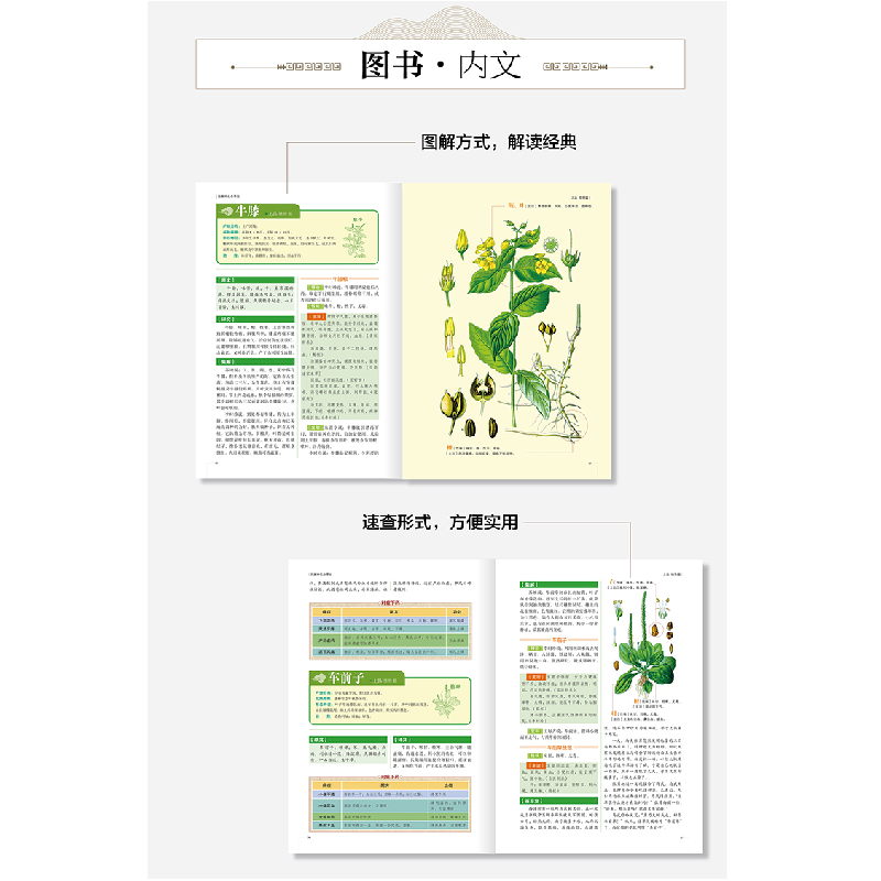 正版新书]图解 神农本草经中智博文9787557635831高清大图