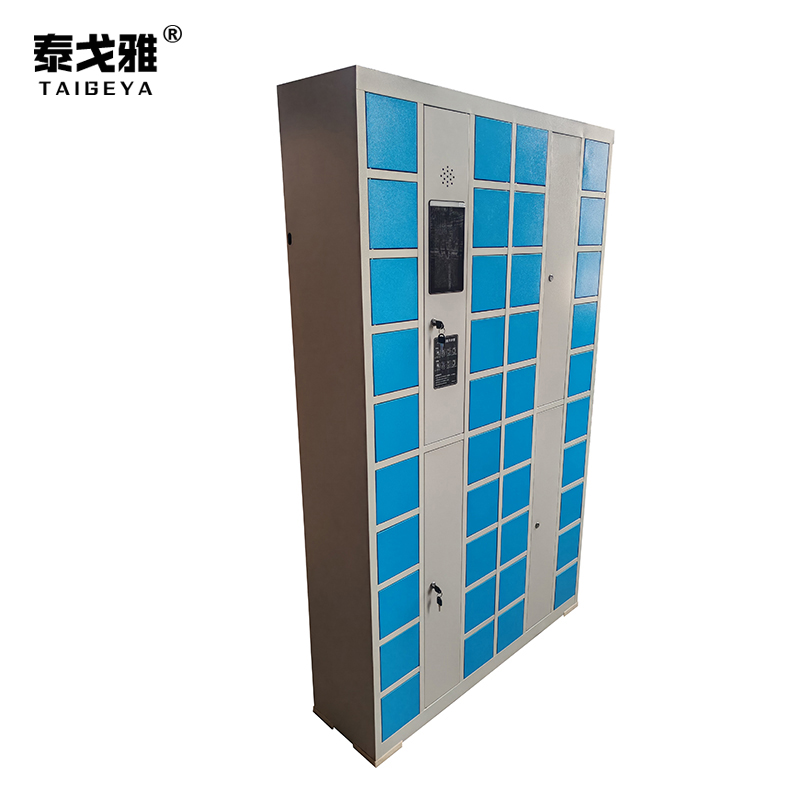 泰戈雅 人脸识别充电柜 40门 台高清大图