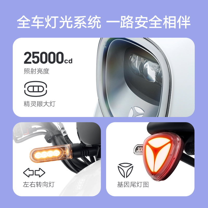 雅迪电动车新款DM2畅行版新国标成人轻便电动自行车48V24Ah可提锂电舒适减震电瓶车 48V24A/金属钛灰