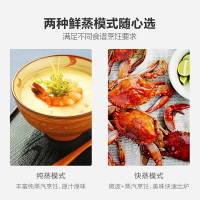 美的(Midea)X5-L253E变频家用微波炉 电烤箱电蒸箱 微蒸烤一体机 能蒸善烤 多模烹饪 蒸汽清洁 25L大容量