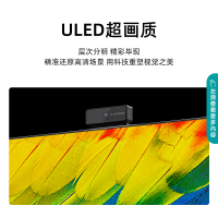 海信(Hisense)电视旗舰店 65英寸彩电 超高清ULED量子点 AI声控全面屏 65E8D大屏智能液晶平板社交电视