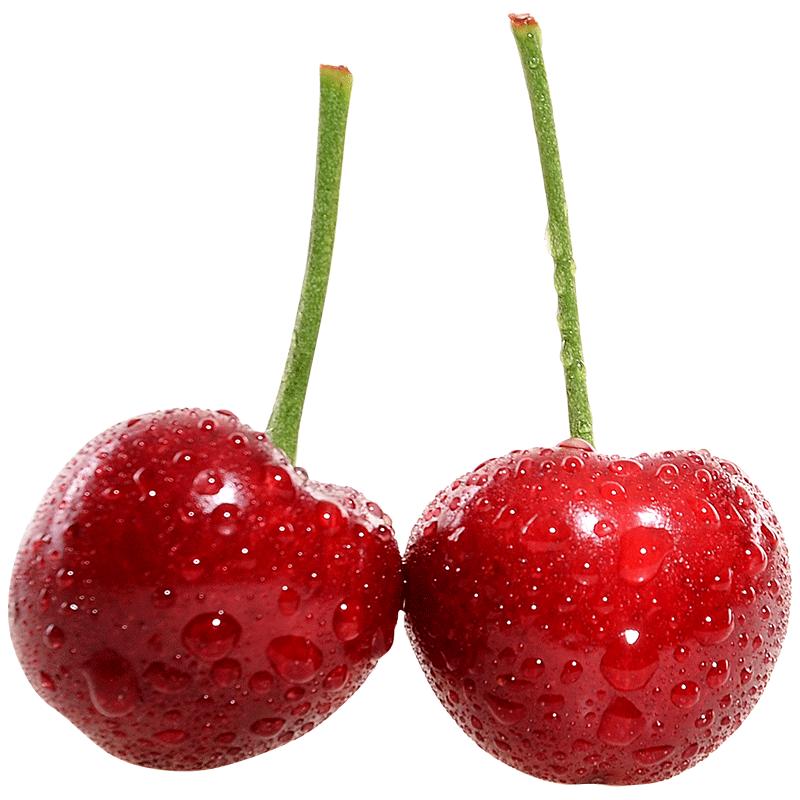 五个农民陕西大樱桃jjj级4斤装国产车厘子应季新鲜水果顺丰ems空运