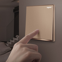 罗格朗(Legrand)开关插座官方旗舰店逸景玫瑰金家用大面板一开5五孔86型带多孔USB插座tcl开关
