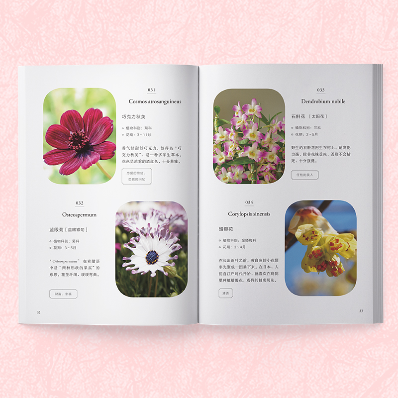 [醉染正版]花草时光-一花一世界快读 种花大全园艺书籍养花书籍花卉养殖的书鲜花养护种花书籍种花大全花卉种植栽培技术书新手高清大图