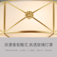 欧普照明OPPLE全铜美式led吸顶灯客厅卧室大厅厨房温馨灯具简约现代玻璃