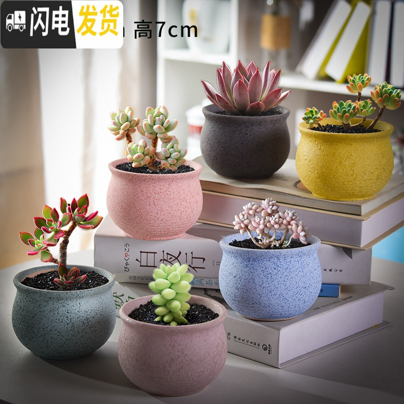 三维工匠多肉花盆套装组合创意个性简约植物盆器室内肉肉花盆批发 如图款式5 中等花盆容器
