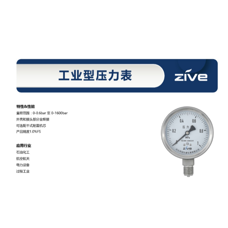ZIVE 工业压力表ZIVE-1306459高清大图