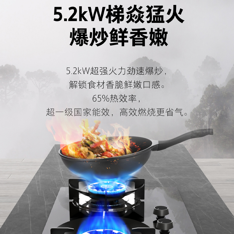 百得(BEST)燃气灶JZT-AQ25 天然气