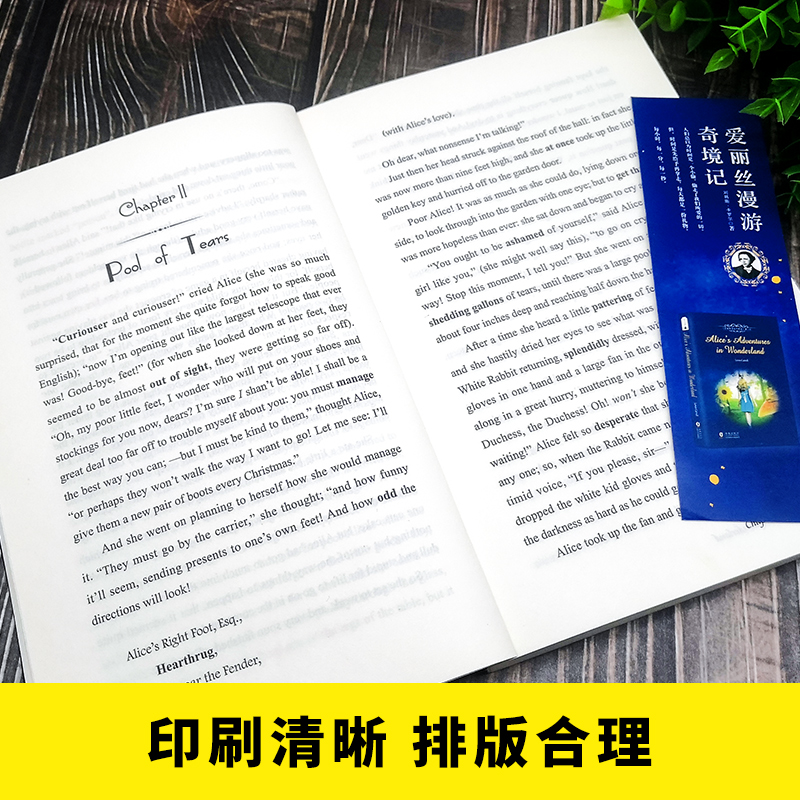 醉染图书爱丽丝漫游奇境记(附词汇注解)(英文版)9787511037558高清大图