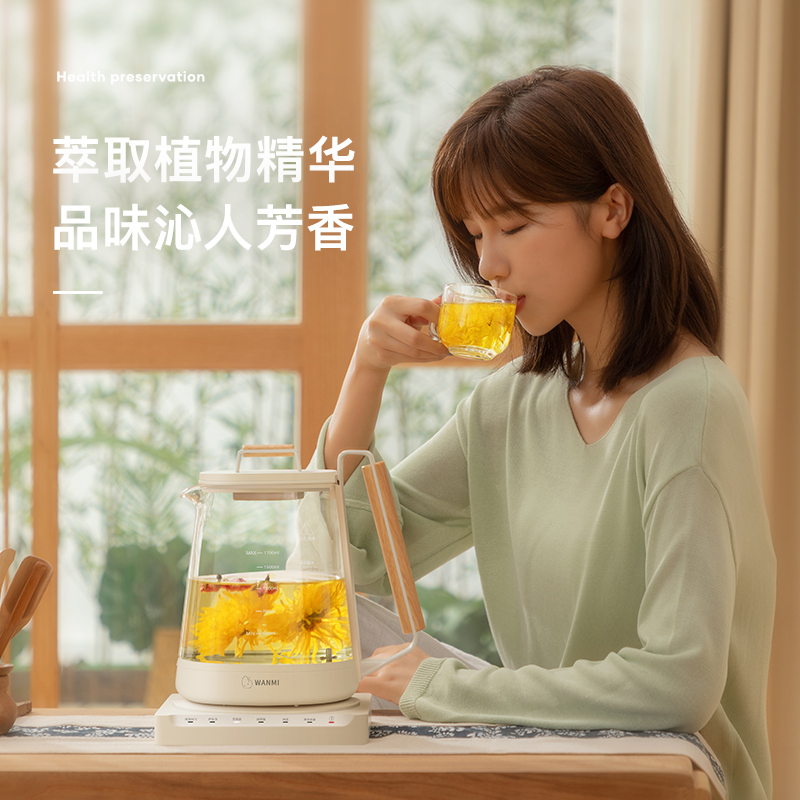 顽米(WAN MI)WM-YSH1养生壶 炖盅款