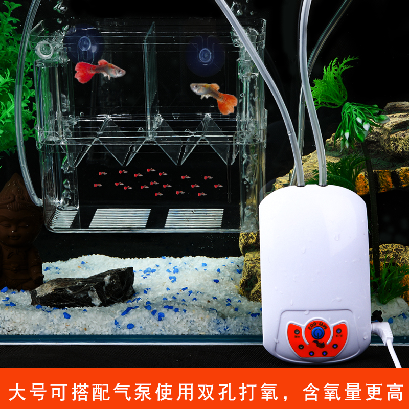 孔雀鱼繁殖盒鱼缸非亚克力隔离盒特大号产卵孵化产房小鱼苗幼大鱼高清大图