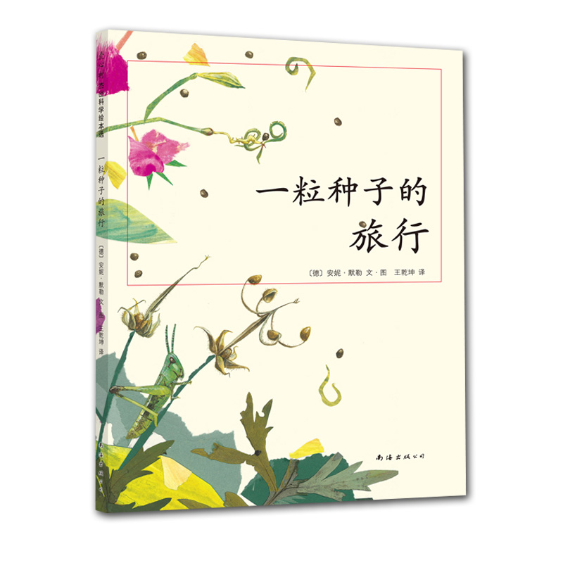 [3册]牵牛花+向日葵+蒲公英 [正版]一粒种子的旅行 小学生基础阅读书目 德国青少年科普 大 向京 自然 植高清大图