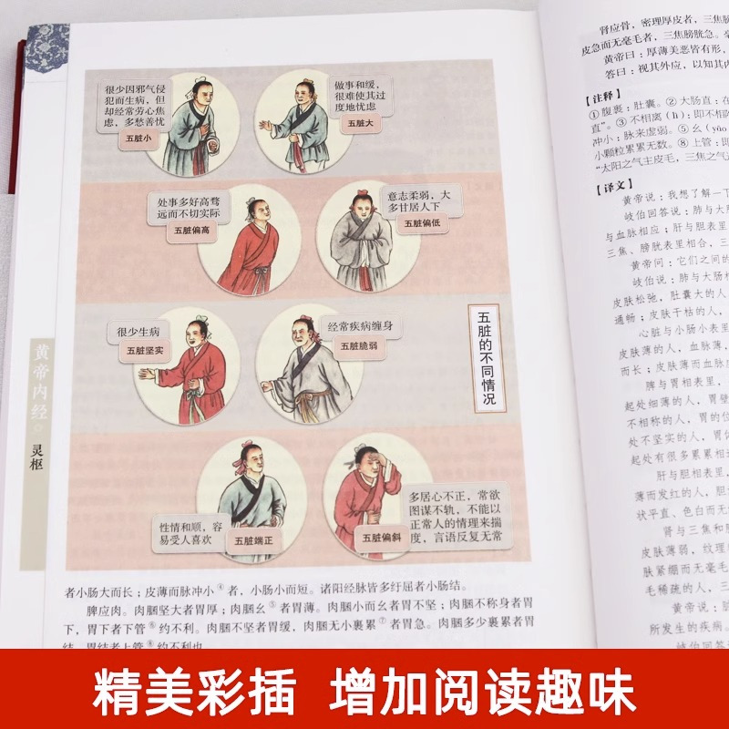 [2册带赠品]黄帝内经+百病食疗大全 [正版]黄帝内经原版 白话文译注彩图版九种体质调理身体的书黄帝内经四季养生法 中医