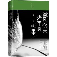 微风吹来少年的心事 陈镭 著 著作 文学 文轩网
