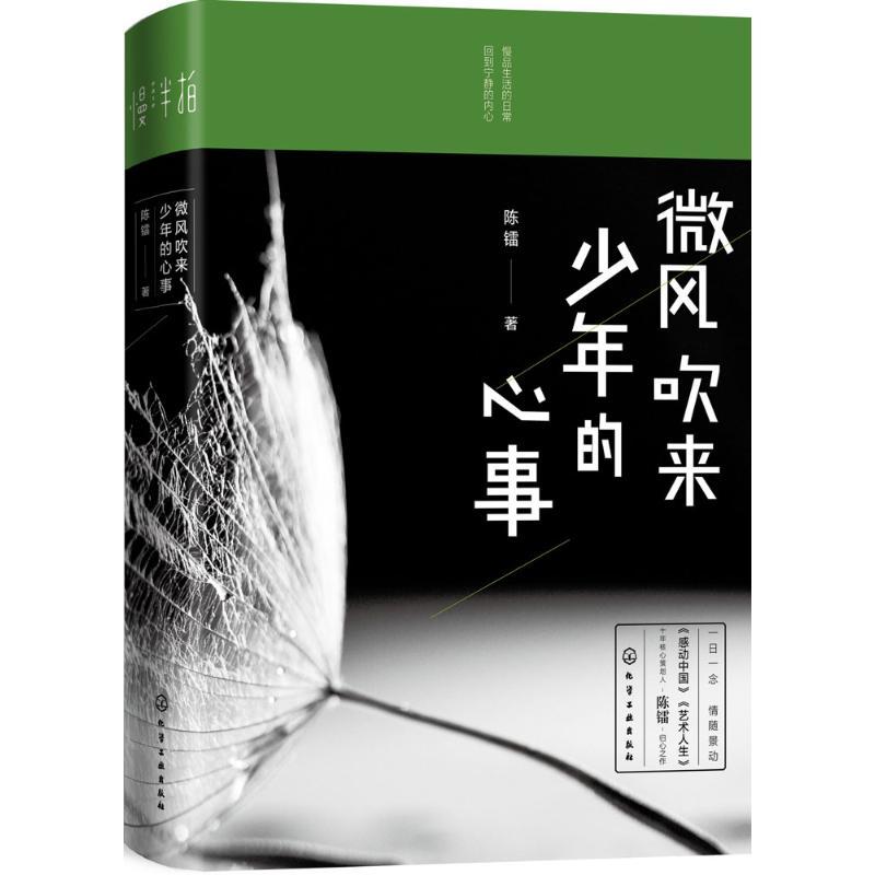 微风吹来少年的心事 陈镭 著 著作 文学 文轩网