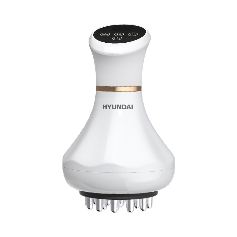 HYUNDAI经络刷HY-012